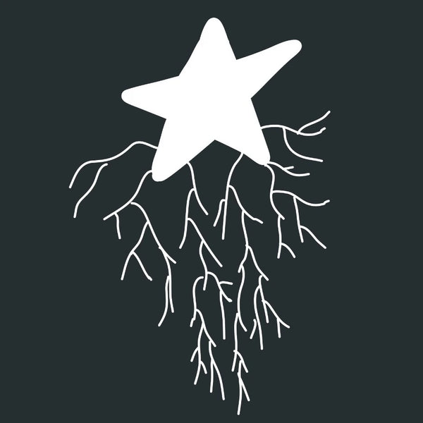 Astroraiz Joyas